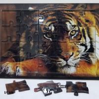 Puzzle Acrylic Tiger, ukuran 16x11cm